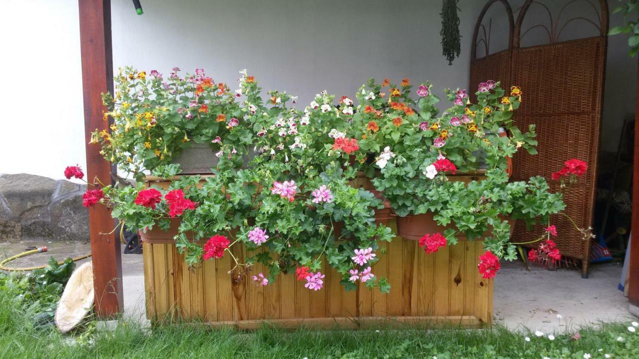 Borova House Hotel Tryavna Bagian luar foto